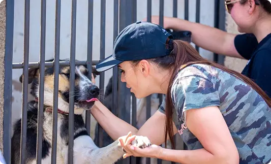 Zoiko Orbit animal conservation organizations