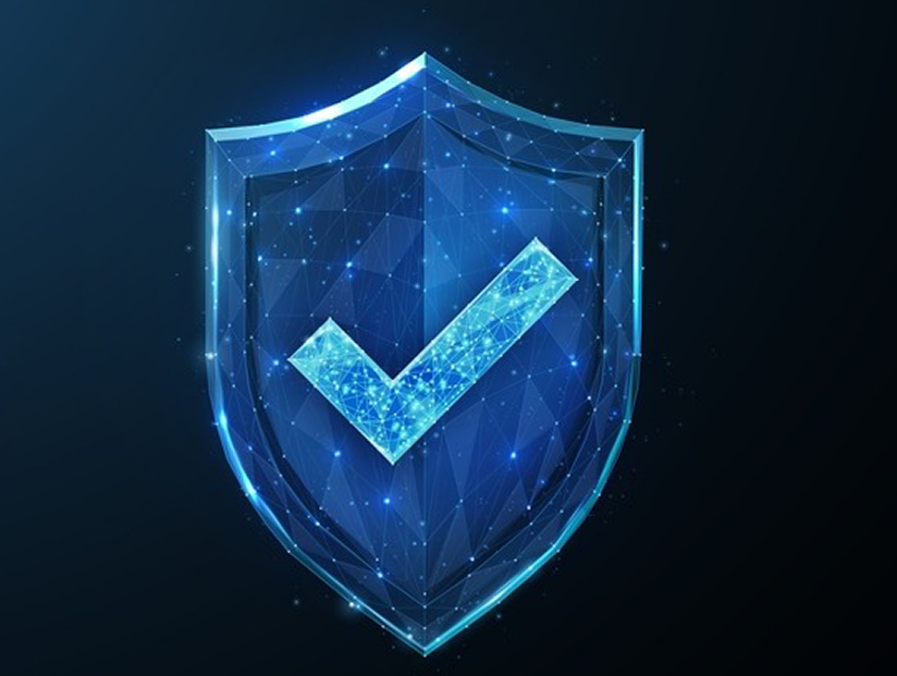 privacy icon